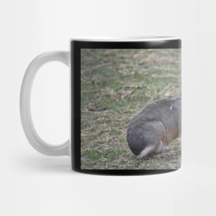 Patagonian Cavy Mug